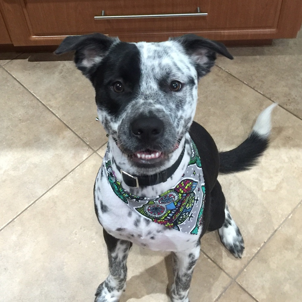 Meet your Posher, Arabel